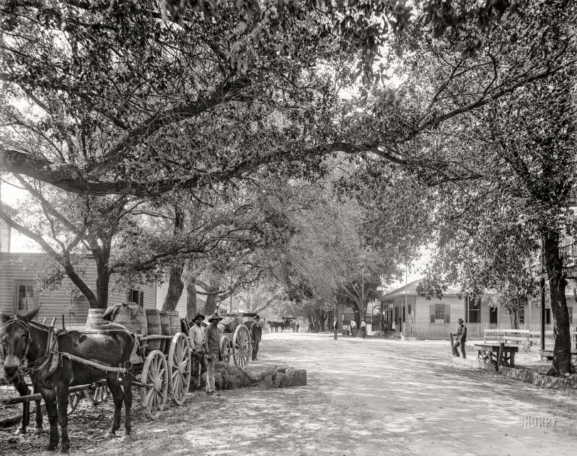 1901. "Washington Avenue and Post Office -- Ocean Springs, Mississippi." 8x10 inch dry plate glass negative, Detroit Photographic Company. View full size.
