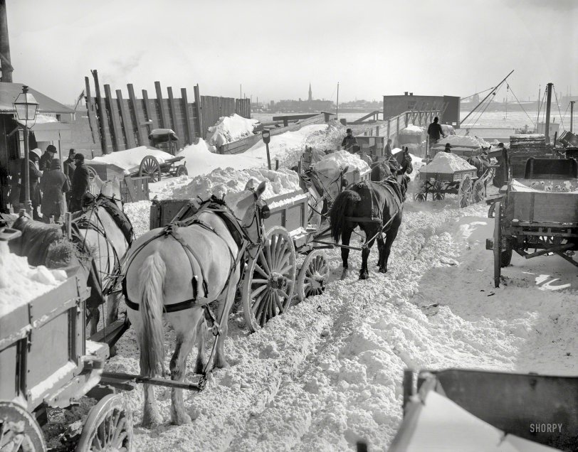 The Blizzard: 1899