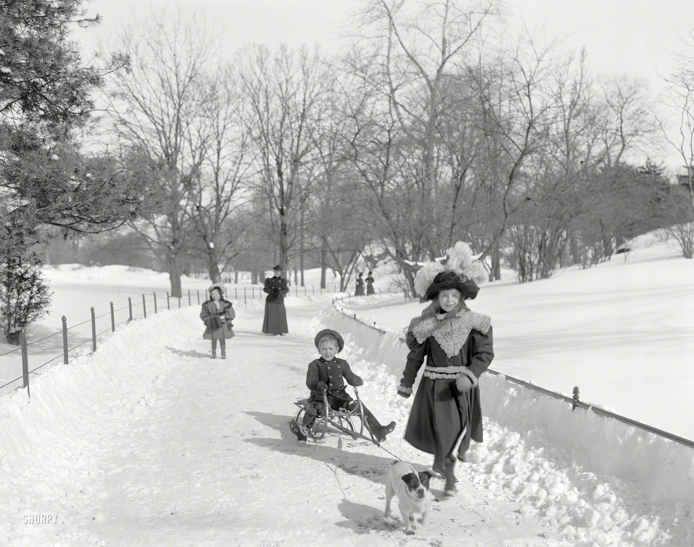 New York circa 1900. "Snow in Central Park." Mush, Rover! Mush! 8x10 inch glass plate by "Byron" for the Detroit Photographic Company. View full size.