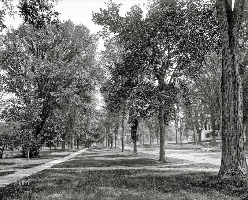 Circa 1900. "Main Street -- Northfield, Massachusetts." The bucolic burg last glimpsed here. 8x10 inch dry plate glass negative, Detroit Photographic Company. View full size.
