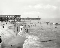The Jersey Shore circa 1901. "The Beach at Asbury Park." 8x10 inch dry plate glass negative, Detroit Publishing Company. View full size.
HurdlesMan running on far left.
More harm than goof.It seems to me those safety ropes and poles could be a hazard in a heavy surf. Getting slammed head first into one of those poles could be fatal.
Safety RopesDoes anyone know why the use of safety ropes was discontinued? Seems like they would be advantageous especially in riptide situations. 
(The Gallery, DPC, Swimming)