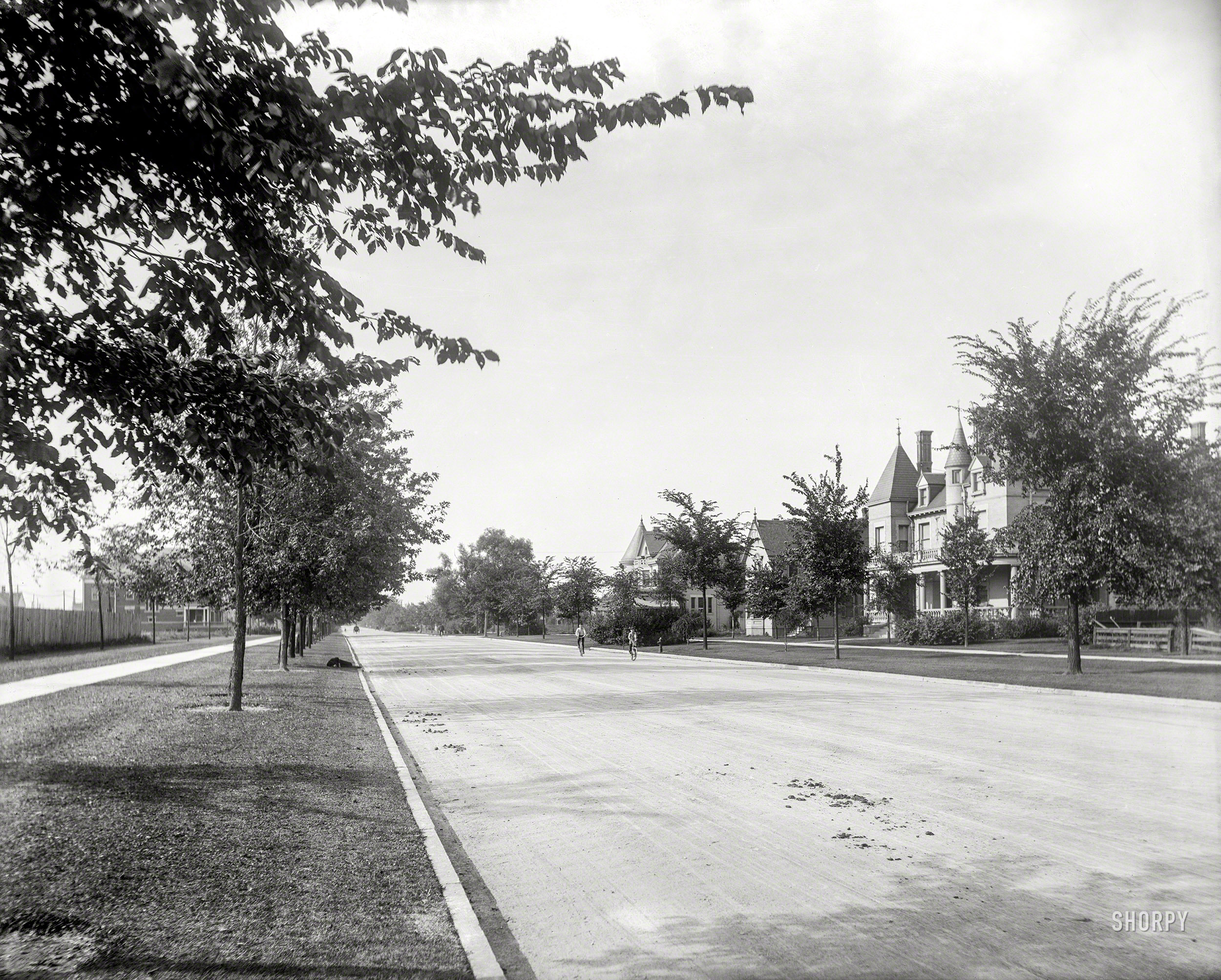 1902. "Residences on East Grand Boulevard, Detroit, Michigan." 8x10 inch dry plate glass negative, Detroit Photographic Company. View full size.