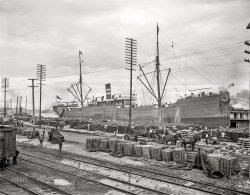 March 23, 1903. "High water at the New Orleans, Louisiana, levee, Mississippi River." 8x10 inch dry plate glass negative, Detroit Photographic Company. View full size.