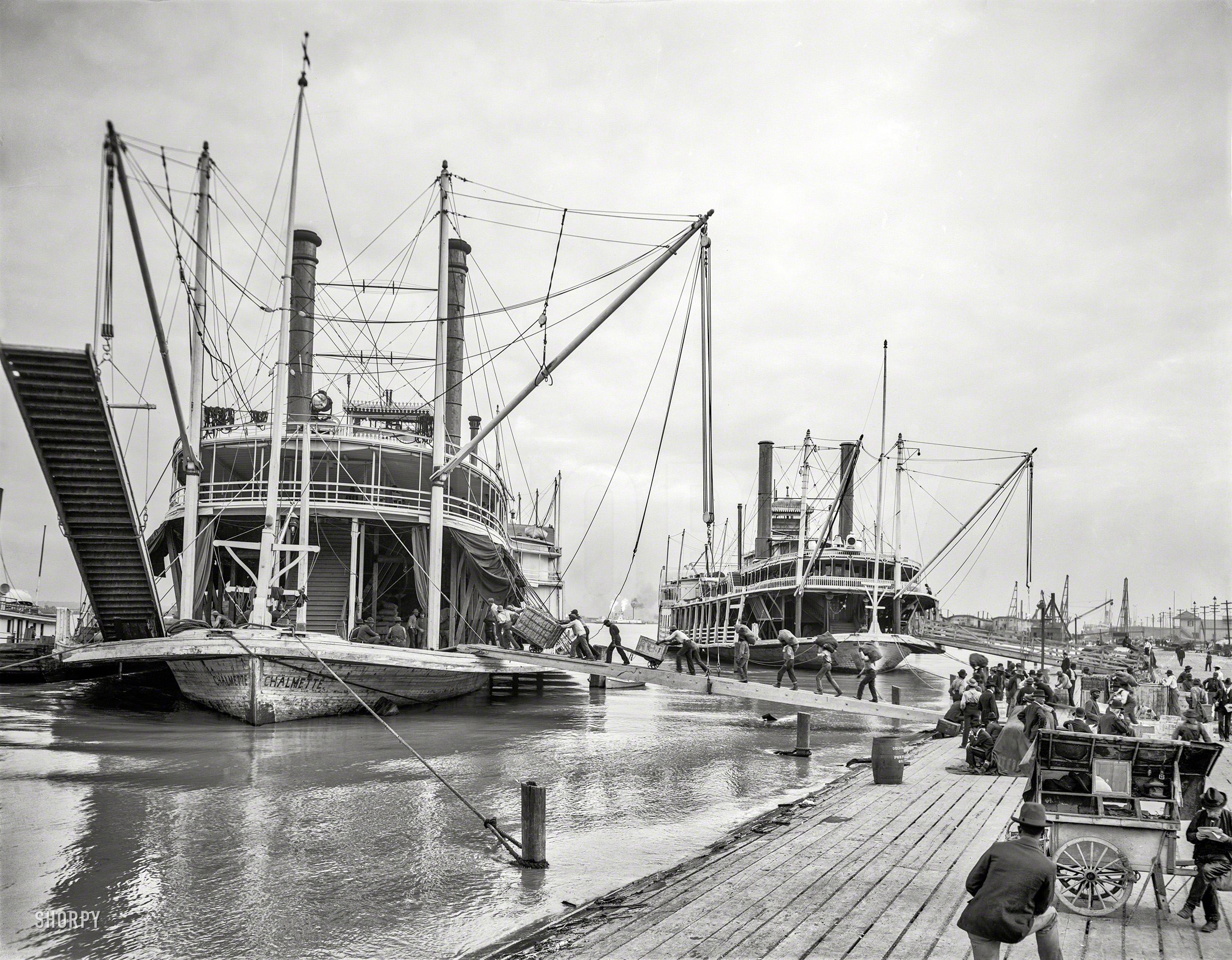 "Loading steamer Chalmette during high water, March 23, 1903, New Orleans." 8x10 inch dry plate glass negative, Detroit Publishing Company. View full size.