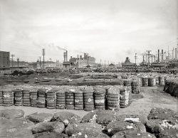 New Orleans circa 1903. "Cotton on the Mississippi River levee." 8x10 inch dry plate glass negative, Detroit Publishing Company. View full size.