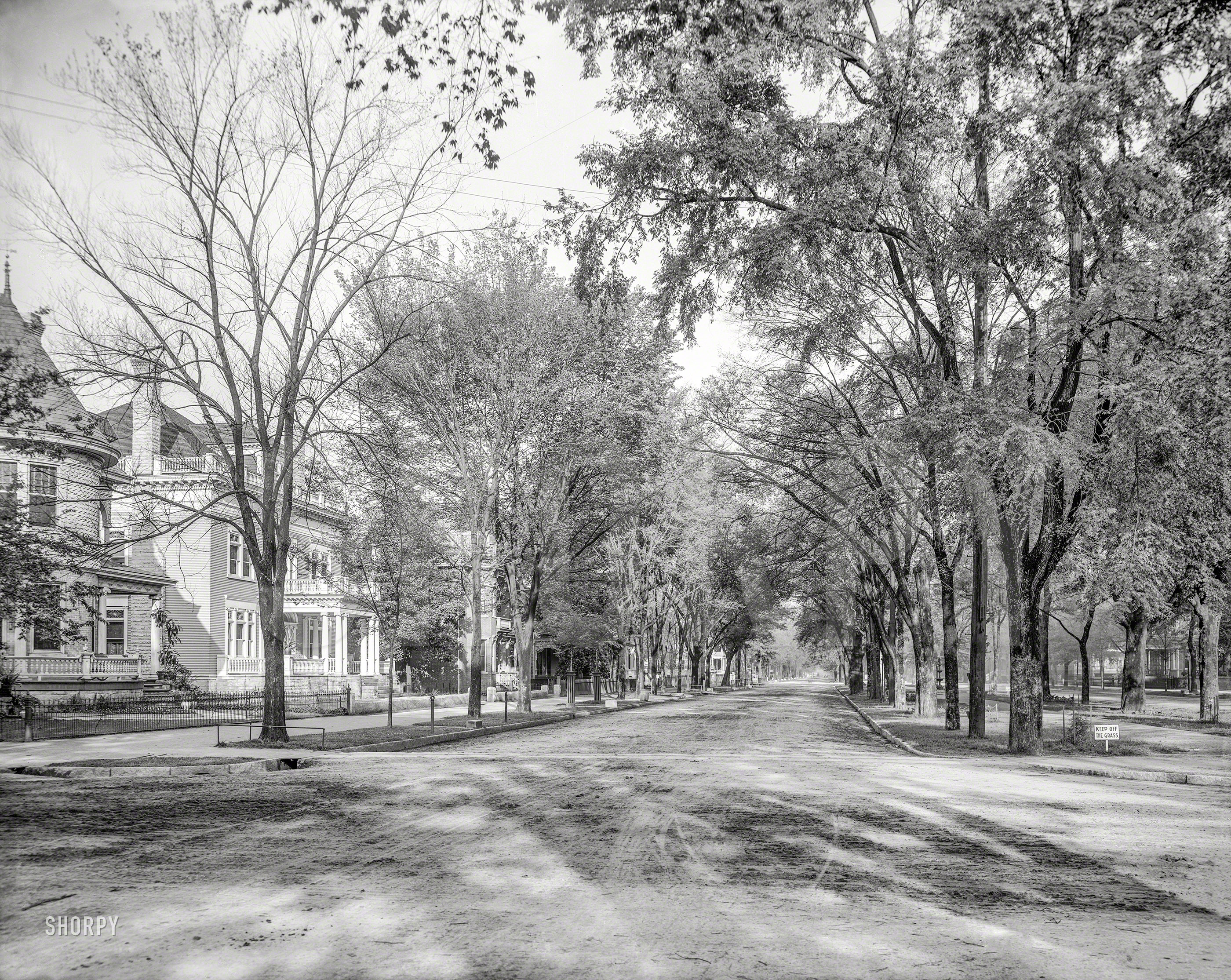 1903. "Greene Street, Augusta, Georgia." When mounting blocks and hitching posts were as common as curbstones. 8x10 glass negative. View full size.