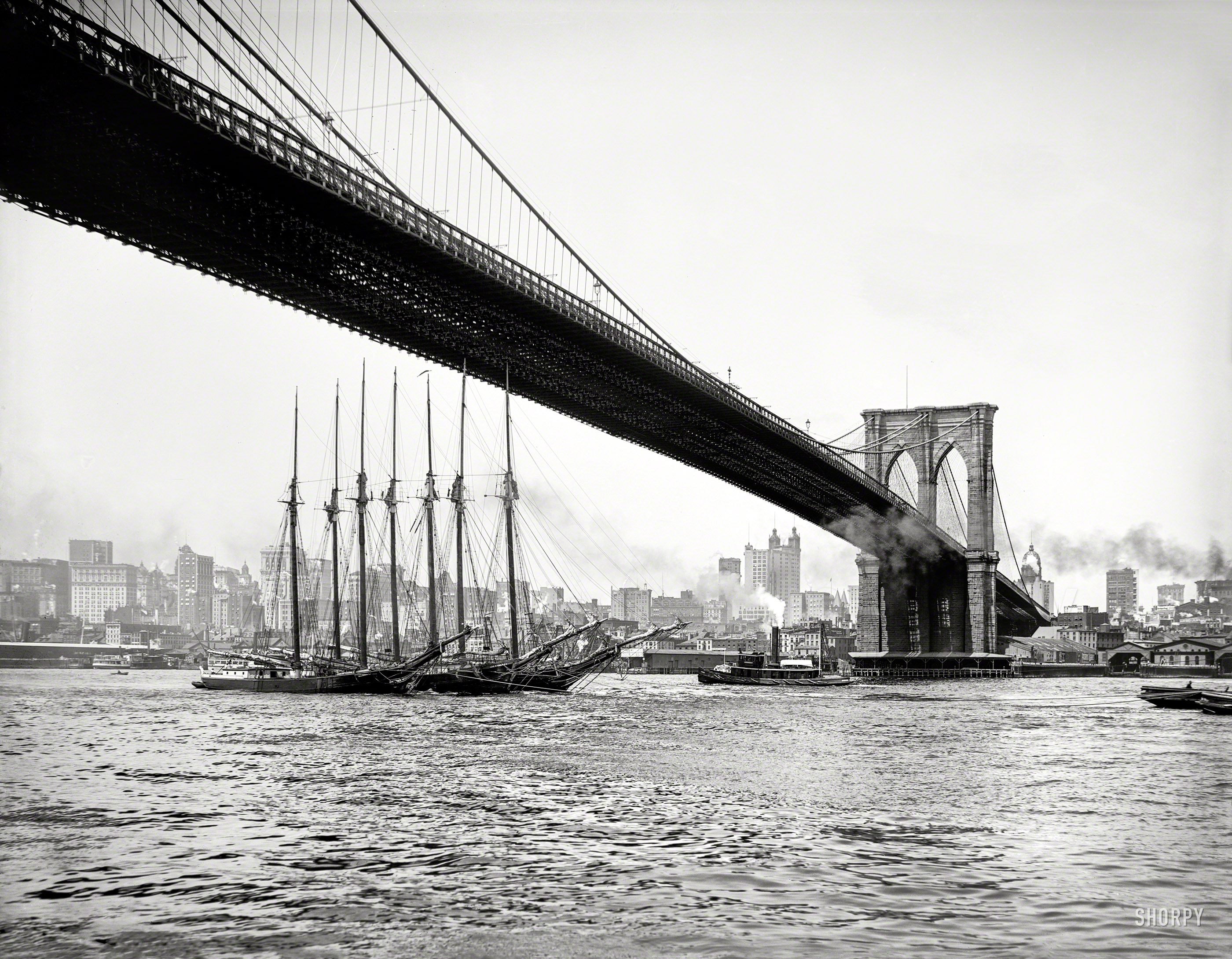 New York circa 1903. "Manhattan from under the Brooklyn Bridge." 8x10 inch dry plate glass negative, Detroit Publishing Company. View full size.