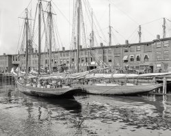 1904. "Fisher schooners at 'T' wharf, Boston. George H. Lubee at left." 8x10 inch dry plate glass negative, Detroit Publishing Company. View full size.