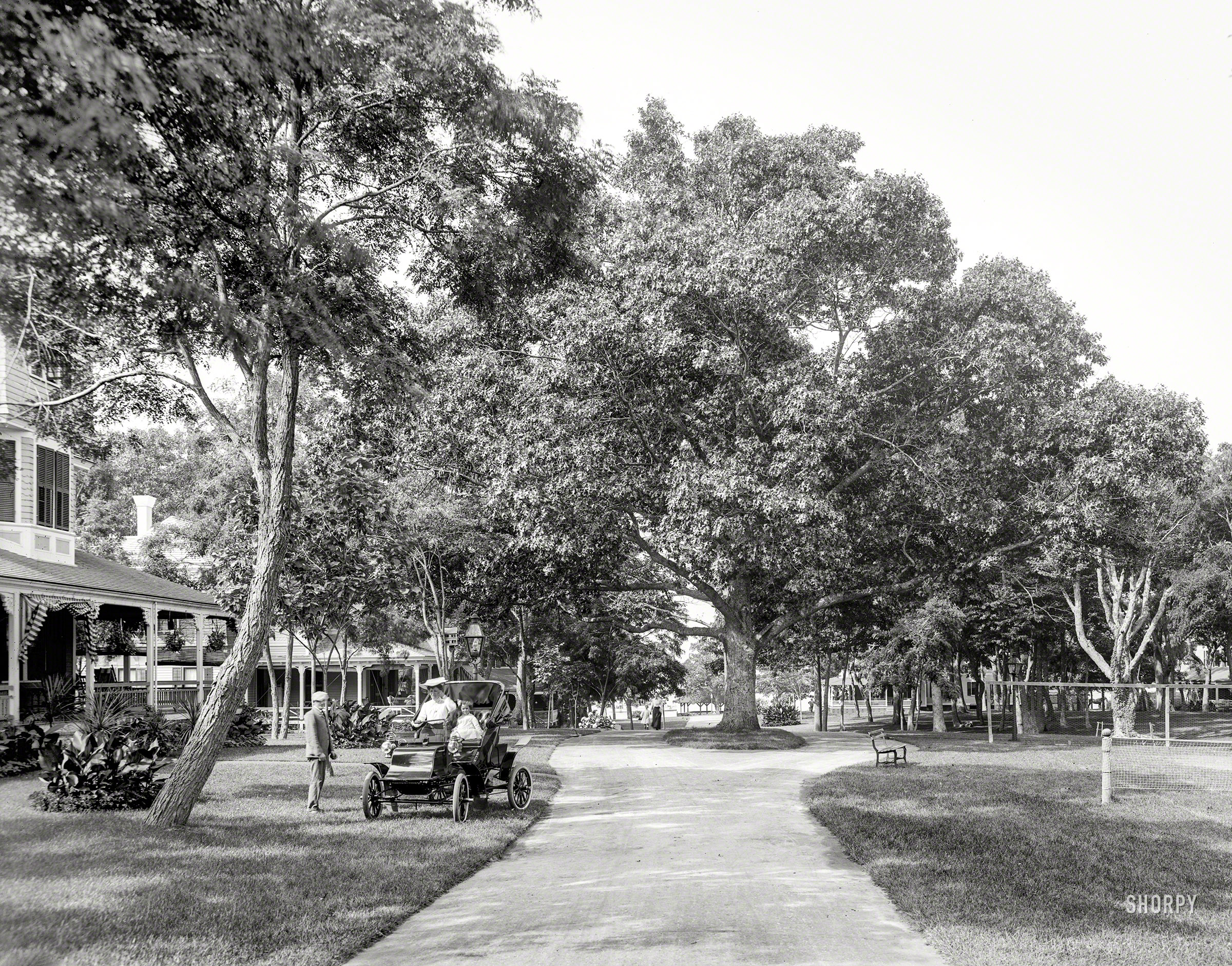 Circa 1904. "Patchogue Avenue, Manhanset Manor, Shelter Island, N.Y." 8x10 inch dry plate glass negative, Detroit Photographic Company. View full size.