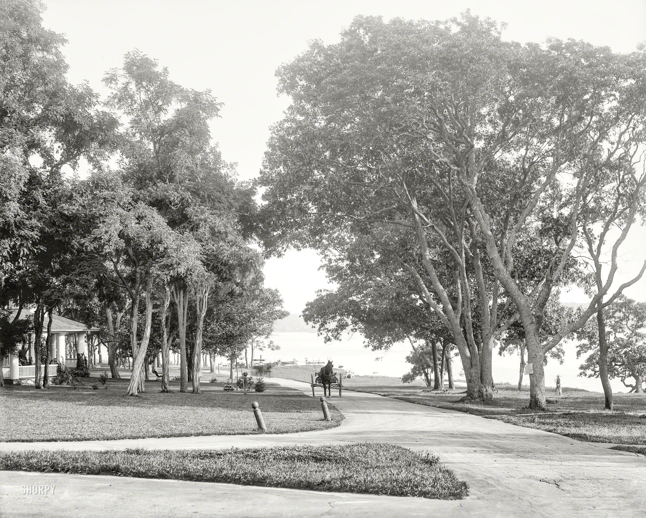 Circa 1904. "Sylvester Avenue, Manhanset Manor, Shelter Island, N.Y." 8x10 inch dry plate glass negative, Detroit Photographic Company. View full size.