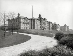 The Halls of Academe: 1904