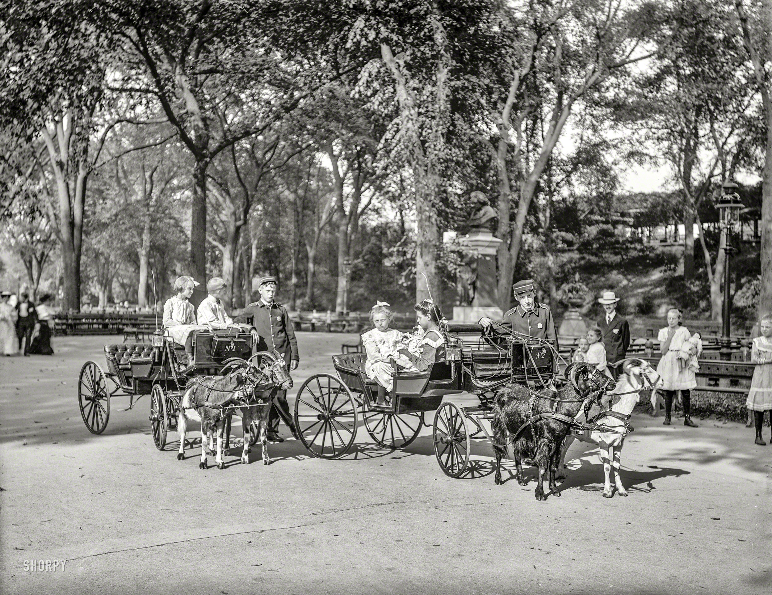 New York, 1904. "Goat carriages in Central Park." 8x10 inch dry plate glass negative, Detroit Publishing Company. View full size.