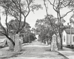 1904. "Avenue C -- Miami, Fla." Renamed First Avenue after the city's brief fling with lettered streets. 8x10 inch dry plate glass negative. View full size.
