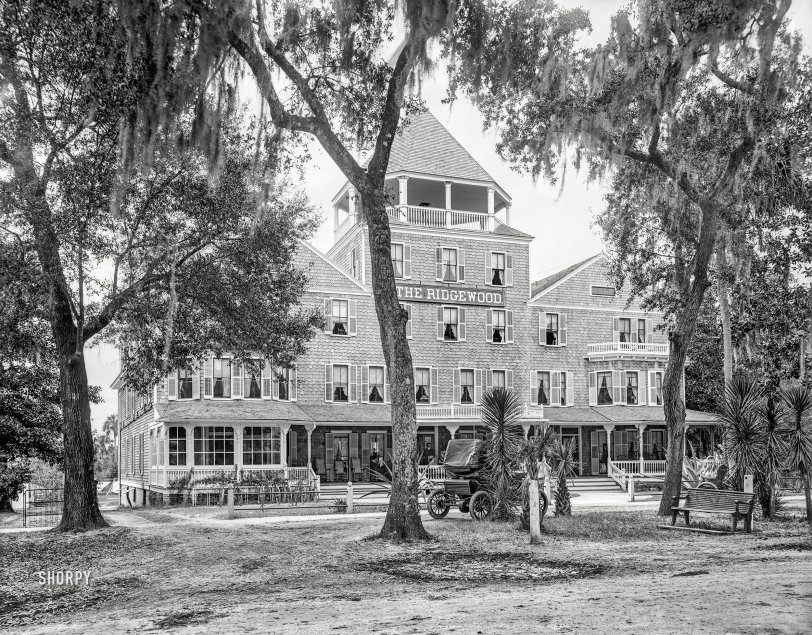 Daytona Beach, Florida, 1904. "Hotel Ridgewood, Ridgewood Avenue." The shady byway last glimpsed here, here and here. 8x10 glass negative, Detroit Photographic Co. View full size.