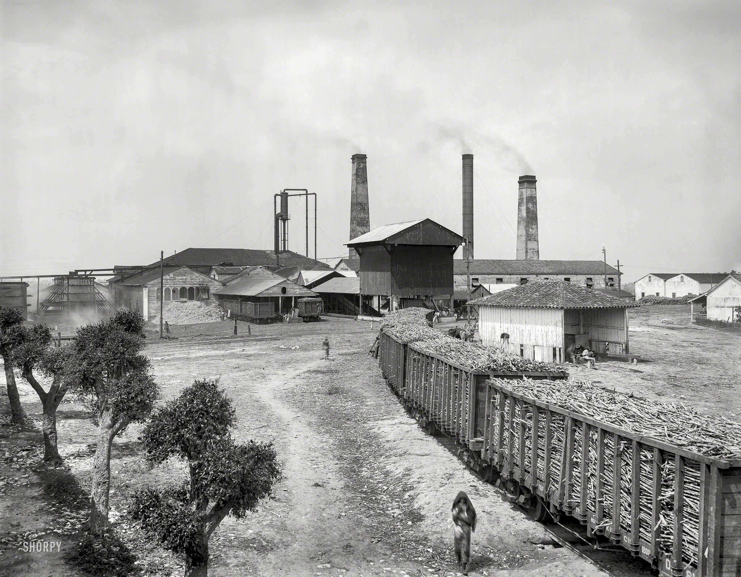 Cuba circa 1904. "The old sugar mill at Finca near Havana." 8x10 inch dry plate glass negative, Detroit Publishing Company. View full size.