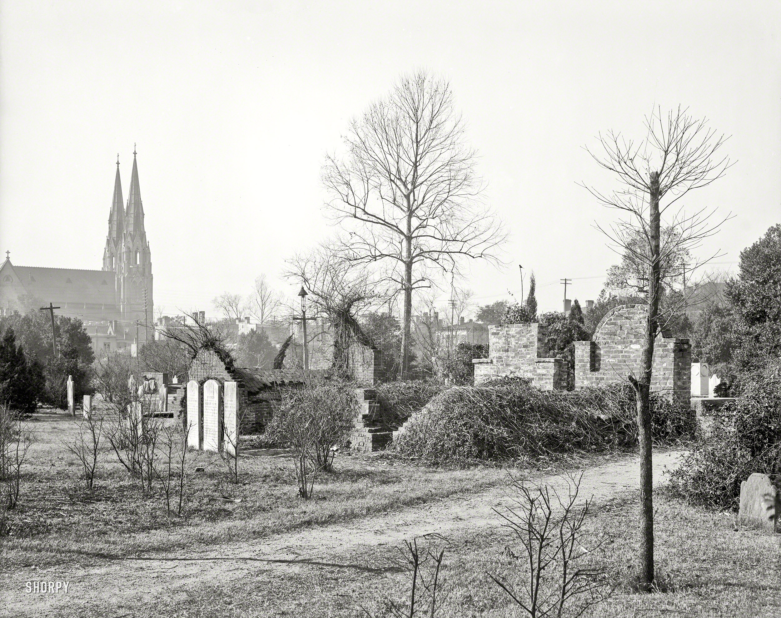 Savannah, Georgia, 1904. "Colonial Park Cemetery." By the looks of it, in need of a trim from the Grim Reaper, or at least a spritz of Roundup. View full size.