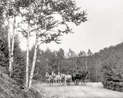 Duluth, Minnesota, circa 1904. "A Coaching Party (four-horse team with coach on Boulevard Drive)." 8x10 inch dry plate glass negative, Detroit Photographic Company. View full size.