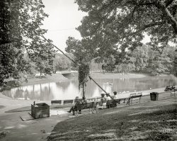 1905. "In Roger Williams Park -- Providence, Rhode Island." 8x10 inch dry plate glass negative, Detroit Photographic Company. View full size.