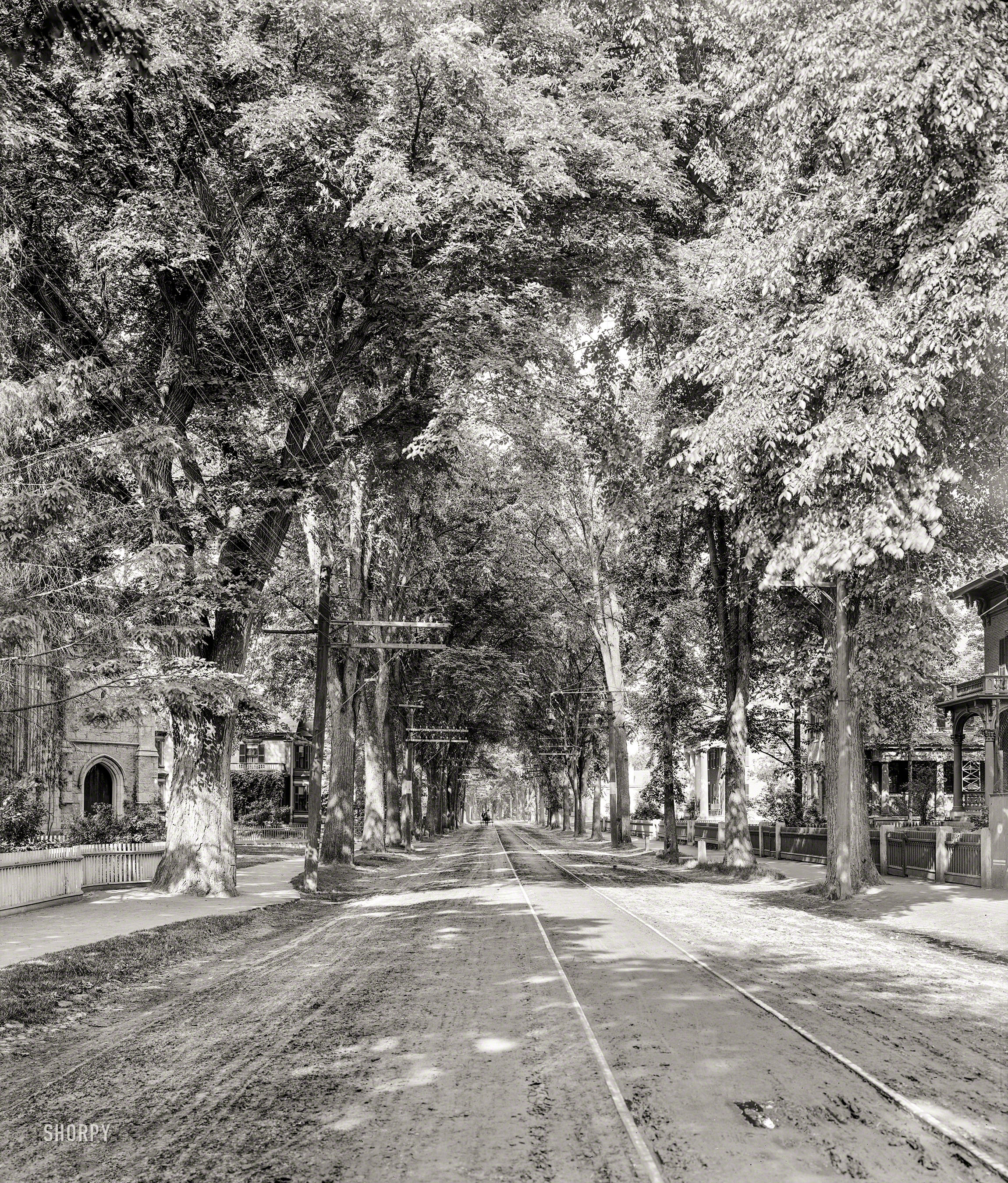 Keene, New Hampshire, circa 1905. "West Street." 8x10 inch dry plate glass negative, Detroit Publishing Company. View full size.