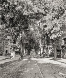 Keene, New Hampshire, circa 1905. "West Street." 8x10 inch dry plate glass negative, Detroit Publishing Company. View full size.
InfrastructureNowadays it costs millions of dollars per mile to install tracks for light rail. Back then they just went out and installed them down the middle of the dirt road. Mission accomplished.
ElmsThose are elm trees.  Dutch elm disease made them disappear or we'd have those streets today.
Arches: Made in the ShadeAs another viewer pointed out, the stone arch at the entry of St. James Episcopal is seen peeking out from the foliage on the left. However, I wonder if the photographer was cleverly capturing another arch in this photographic composition: the arching, leafy canopy that grew up and over West Street.
Most of the trees forming this canopy appear to be American Elm (Ulmus americana). That high-arching canopy and the fan-shaped form of the branches are normally dead give-aways in identifying this once-prevalent species.  Occasionally, individual hackberry or silver maple specimens mimic this fan-shaped form and are subject to misidentification; but that distinctive leafy arch over the length of the street, in my mind, belongs only to American Elm.
These wonderful shade trees once graced thousands of streets and avenues throughout the eastern United States.  How sad it must have been for millions of Americans to have borne witness in the mid-20th century to American Elms' decline and near elimination by Dutch Elm disease.  Only a few, small populations - and in some cases, only single specimens - of American Elms remain today.  
+112Not so leafy now, unfortunately. The building on the far left is St. James Episcopal, which appears to be about the only building left standing after a more than a century of urban renewal.
Ice StormBeautiful but I can imagine that this was a telephone linemans' nightmare after an ice storm or big snow storm. 
St. James Episcopal ChurchLooks like St. James' church has been transported to a different planet.
(The Gallery, DPC, Small Towns)