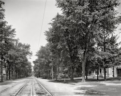 Circa 1905. "Upper Genesee Street, Utica, N.Y." A scene framed by elms, hitching posts and streetcars. 8x10 inch dry plate glass negative, Detroit Photographic Company. View full size.