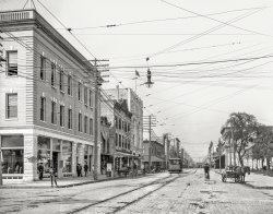 1905. "Franklin Street, Tampa, Florida." Next stop, Hyde Park. 8x10 inch dry plate glass negative, Detroit Publishing Company. View full size.