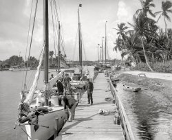 Masts Over Miami: 1905