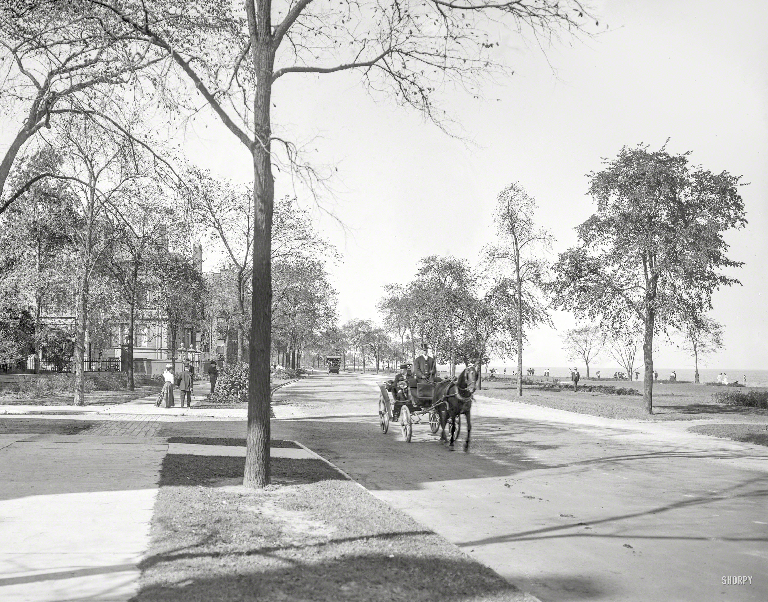 Nov. 22, 1905. "Lake Shore Drive, Chicago." A nice day for a carriage ride, and look out for that omnibus. 8x10 inch dry plate glass negative. View full size.