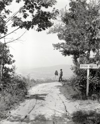 Pen-Mar Park, Maryland, circa 1906. "North from Brinkwood." With Mr. William Henry Jackson himself at the camera in this Blue Ridge mountain resort. 8x10 inch dry plate glass negative, Detroit Publishing Company. View full size.