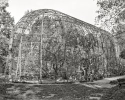 Circa 1906. "Great flying bird cage, zoo park, Washington, D.C." 8x10 inch dry plate glass negative, Detroit Publishing Company. View full size.
&nbsp; &nbsp; &nbsp; &nbsp; The new flying cage for aquatic birds in the ravine near the Connecticut avenue entrance will prove one of the most interesting features of the Zoo. It is fifty feet in length, of corresponding height, and has a miniature lake its entire length. It contains fifty-five fine specimens of aquatic birds, from the big marabou heron, four feet in height, to the little heron of twelve inches. Cormorants, snake-darters, pelicans, great blue herons, European storks, and other water birds make a lively scene.
-- Washington Post, Nov. 23, 1902