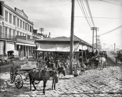1906. "The French Market -- New Orleans." Yes, they have bananas, and you can compare apples and oranges, too. 8x10 inch glass negative, Detroit Publishing Company. View full size.