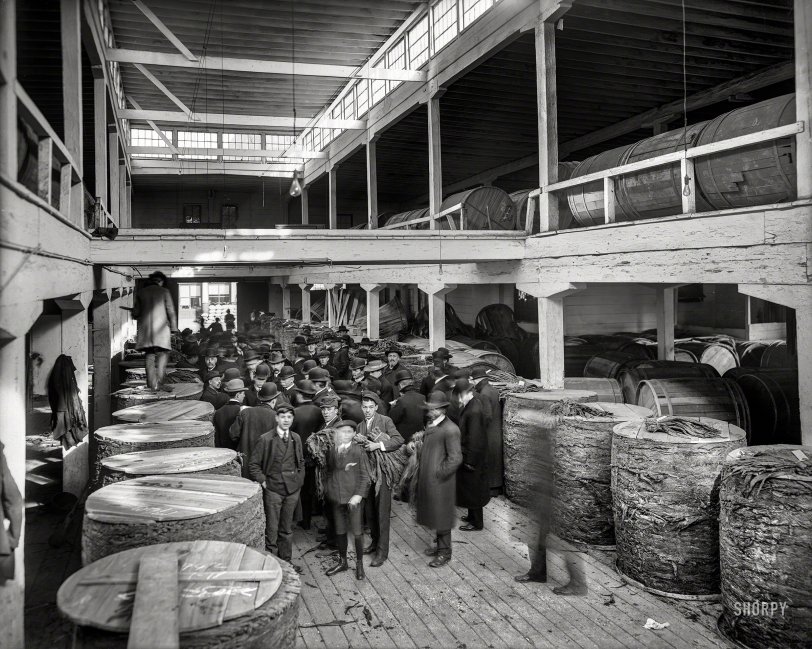 1906. "A tobacco market, Louisville, Kentucky." Put that in your pipe and smoke it. 8x10 inch glass negative, Detroit Publishing Company. View full size.
