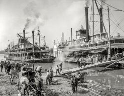 Memphis circa 1906. "A Mississippi River landing." The sidewheeler Belle of the Bends taking on cargo alongside the sternwheeler Belle of Calhoun. 8x10 inch dry plate glass negative, Detroit Publishing Company. View full size.