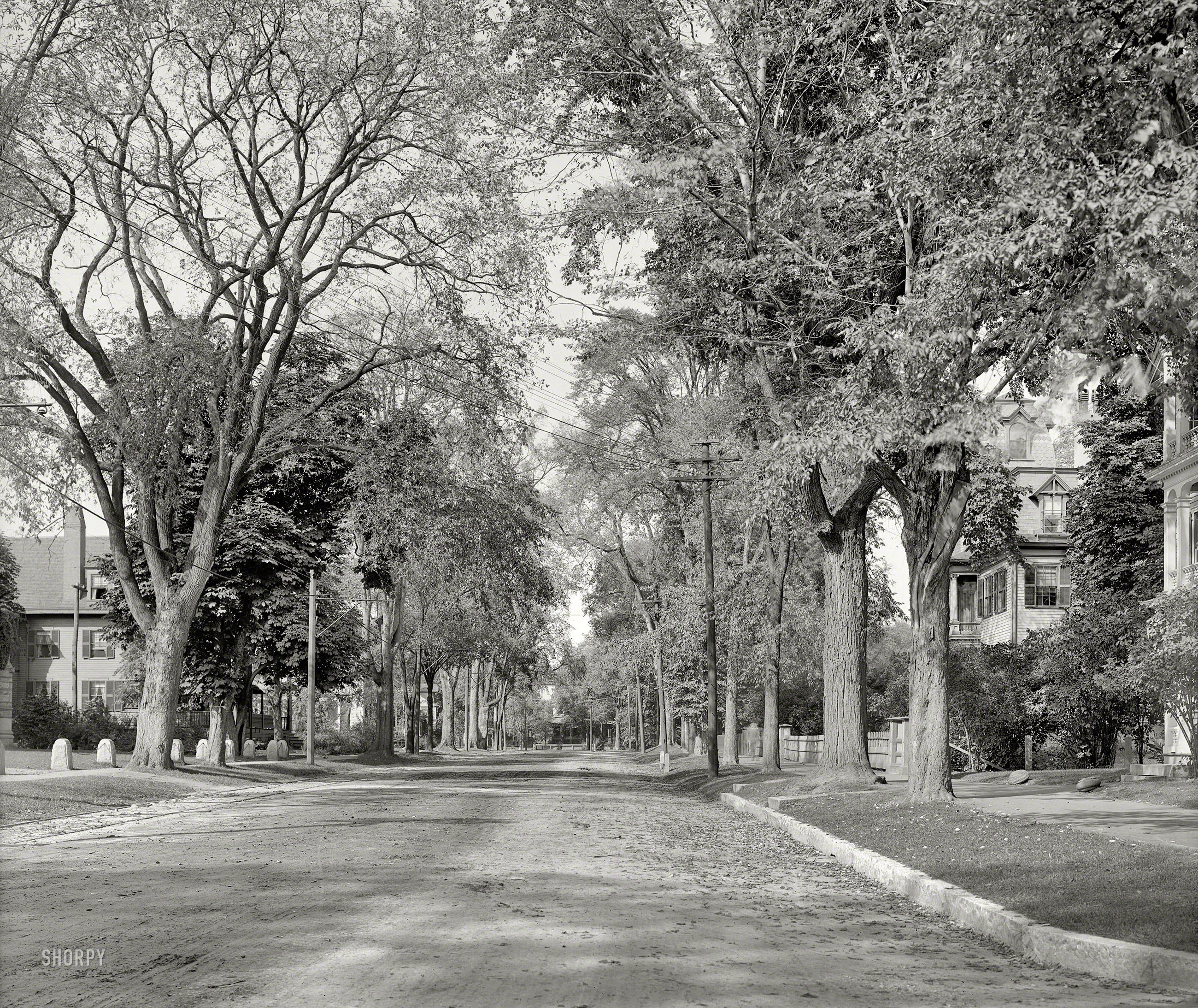 Circa 1907. "Northampton, Massachusetts -- Elm Street." 8x10 inch dry plate glass negative, Detroit Publishing Company. View full size.