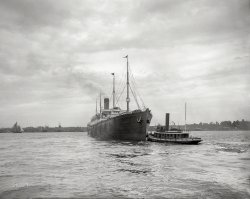 New York circa 1903. "S.S. Cymric outward bound." Torpedoed and sunk by a German U-boat in 1916. 8x10 inch dry plate glass negative, Detroit Photographic Company. View full size.