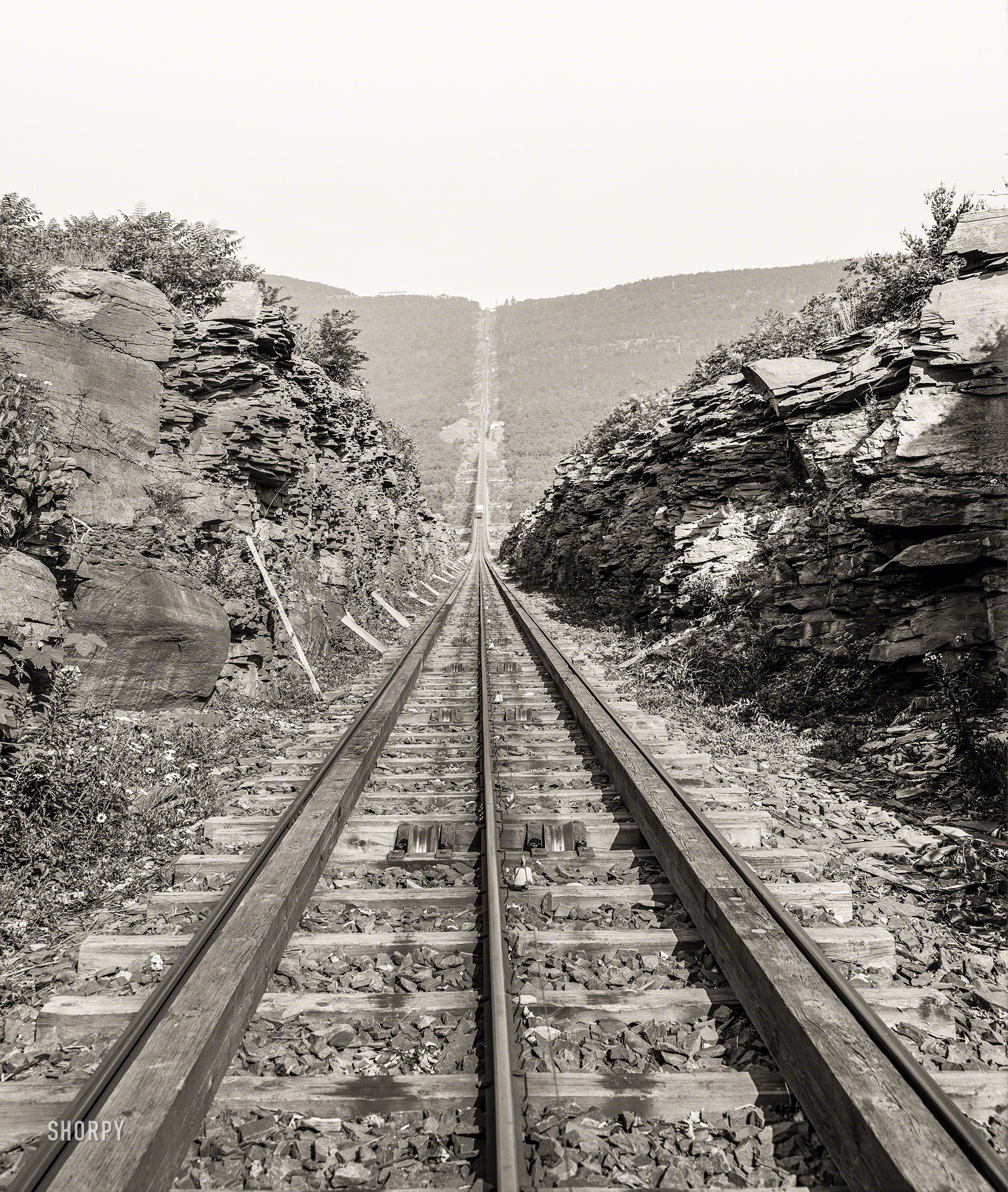 Circa 1900. "Otis Elevating Railway, looking up toward Mountain House Hotel, Catskill Mountains, New York." 8x10 inch dry plate glass negative. View full size.