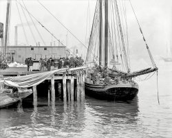 Circa 1903. "Fishing schooner at 'T' wharf, Boston." With ice at the ready. 8x10 inch dry plate glass negative, Detroit Publishing Company. View full size.