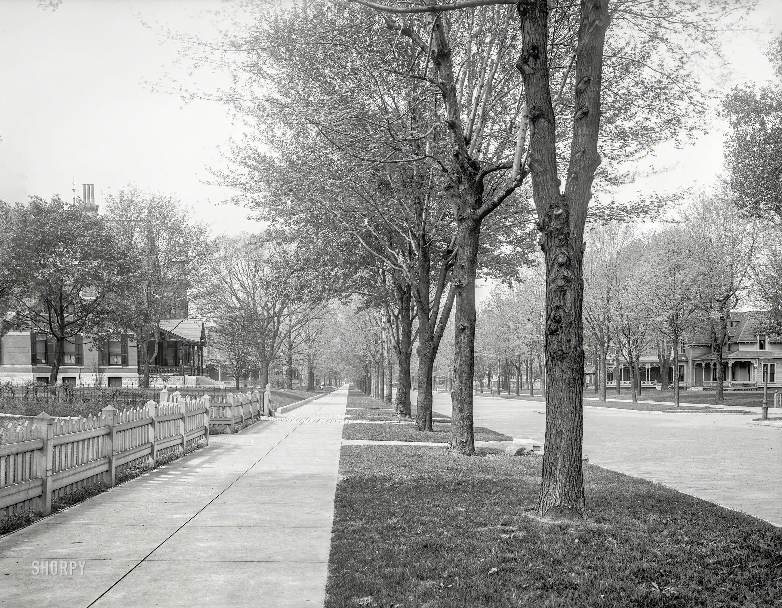 Indianapolis circa 1904. "North Delaware Street." Our third visit to this leafy enclave. 8x10 inch glass negative, Detroit Photographic Co. View full size.