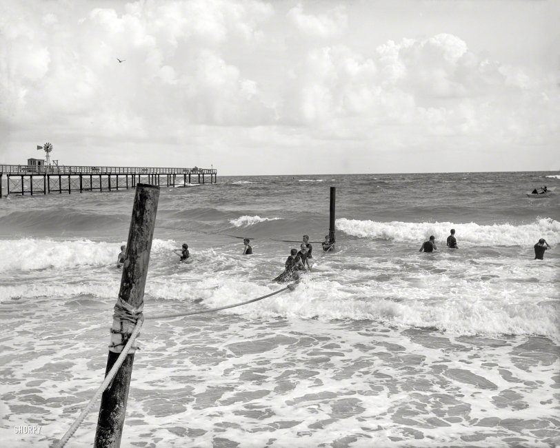 Florida circa 1904. "Surf bathing at Palm Beach." 8x10 inch dry plate glass negative, Detroit Publishing Company. View full size.
