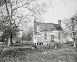 The Old Homestead: 1905