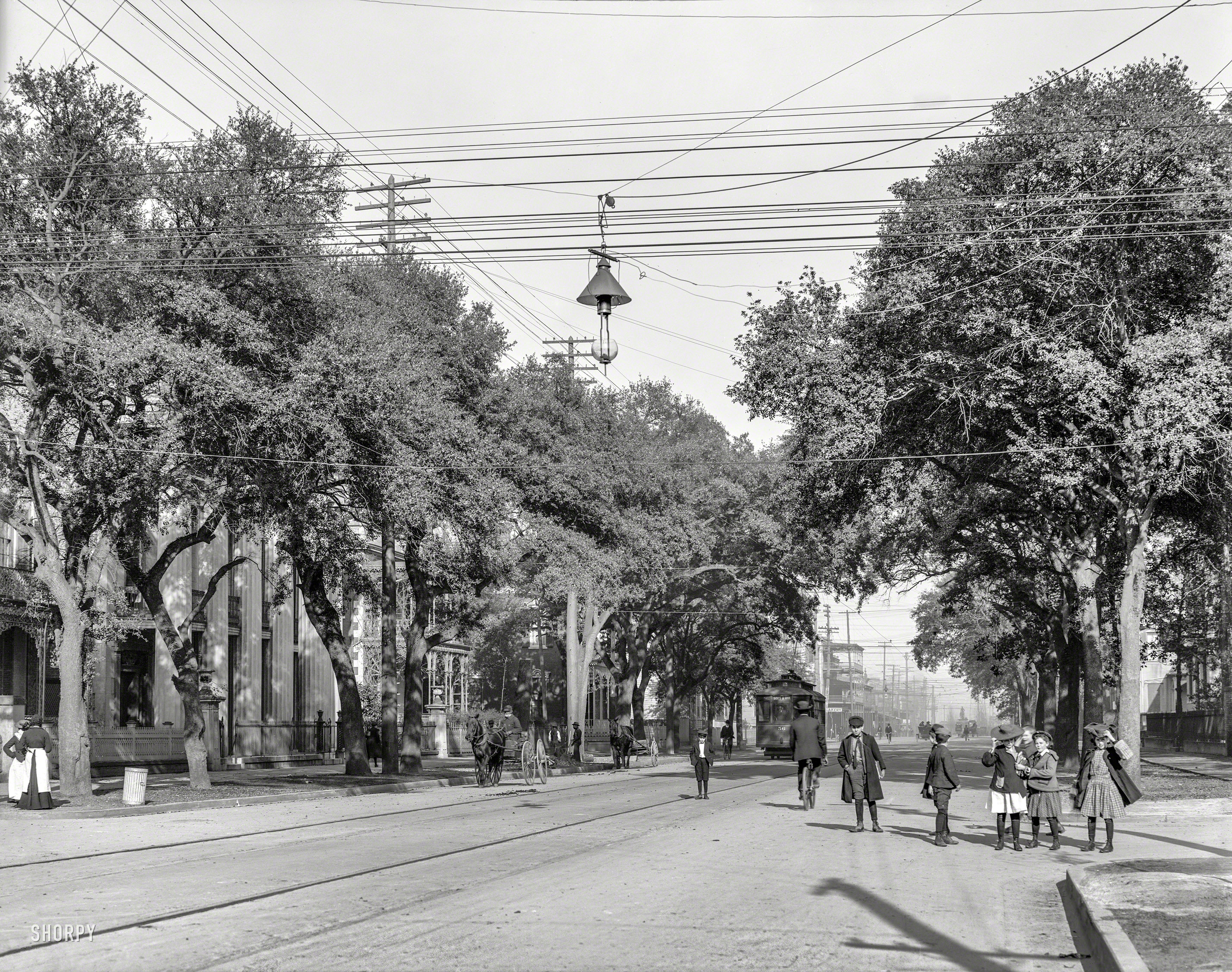 Circa 1906. "Mobile, Alabama -- Government Street." Look out, kids -- it's the Detroit Publishing photographer! 8x10 inch glass negative. View full size.