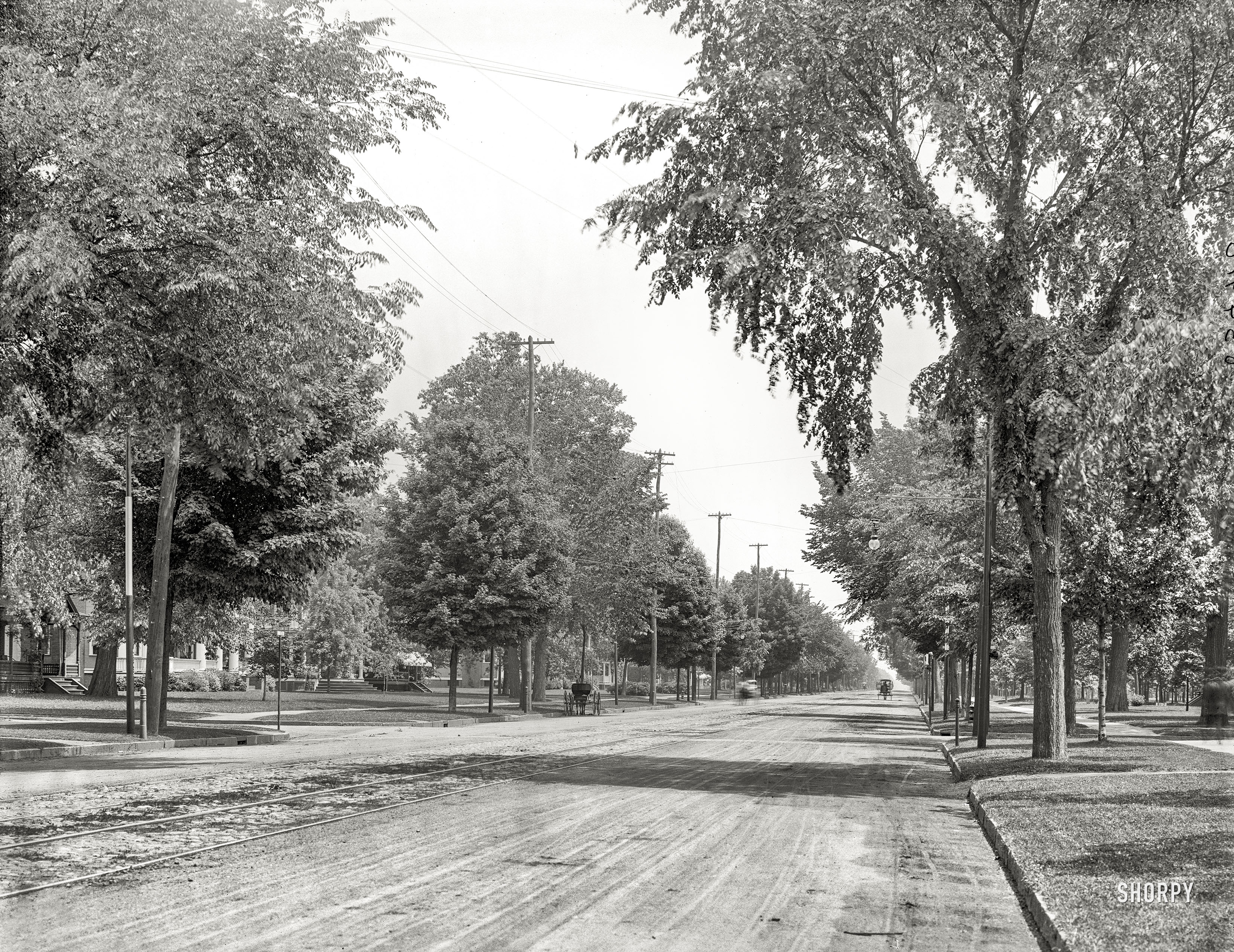 Springfield, Mass., circa 1905. "Sumner Avenue looking east." 8x10 inch dry plate glass negative, Detroit Publishing Company. View full size.