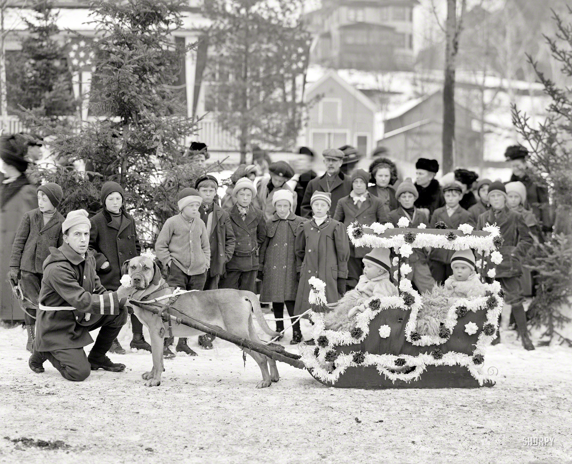 1909. "Midwinter carnival, children's parade with dog sled. Upper Saranac Lake, N.Y." 8x10 inch glass negative, Detroit Publishing Company. View full size.