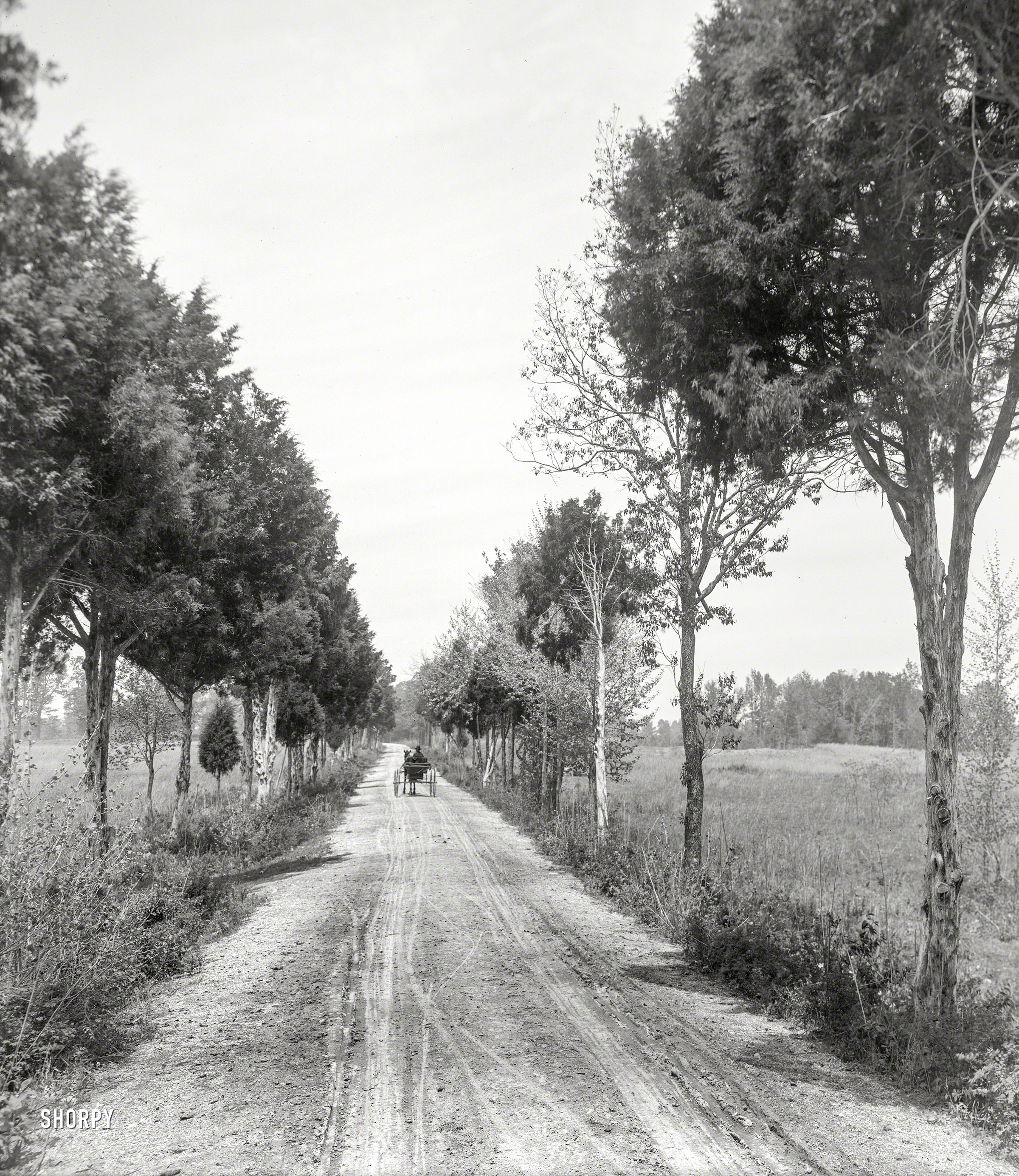 Circa 1913. "Alexander Bridge Road, Chickamauga, Georgia." 8x10 inch dry plate glass negative, Detroit Publishing Company. View full size.