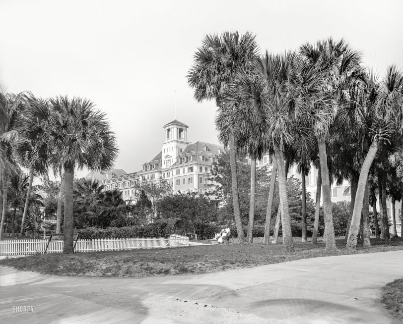 Palm Beach circa 1901. "A glimpse of the Royal Poinciana." An entrance to Henry Flagler's immense resort hotel, back when Florida was starting to be a thing. 8x10 inch dry plate glass negative, Detroit Publishing Company. View full size.