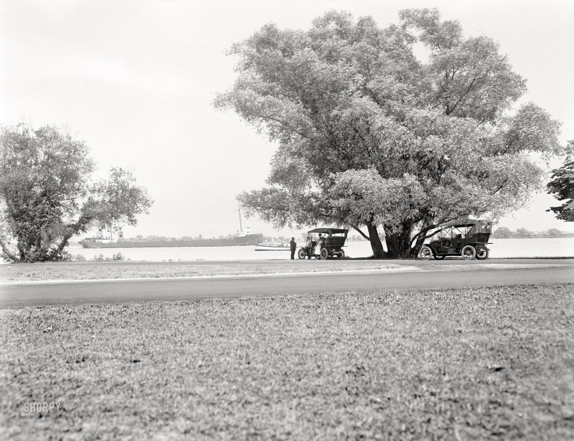 Tree Parking: 1910