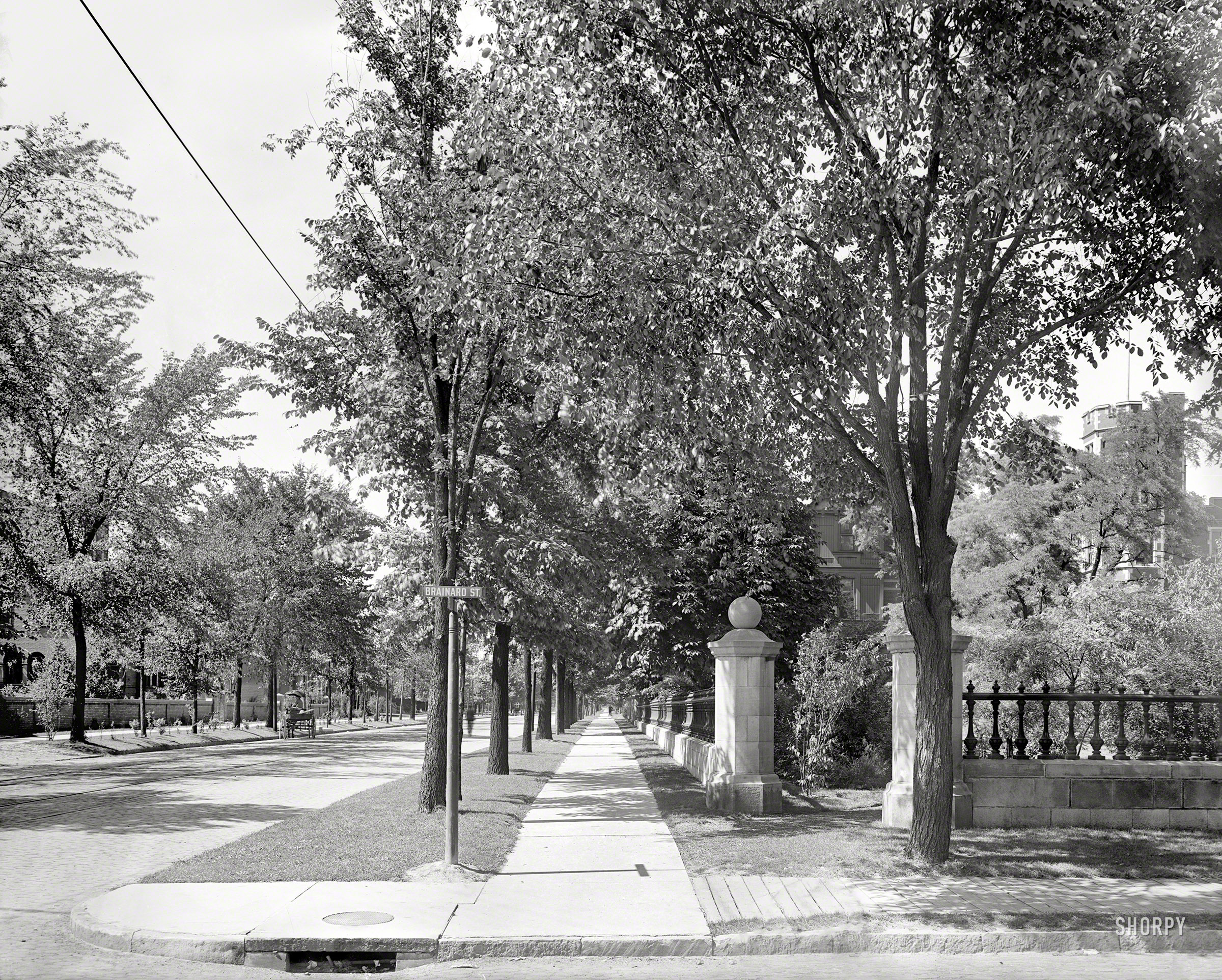 Detroit circa 1900. "View looking north along Trumbull Avenue at Brainard Street." At right, the home of publishing magnate James E. Scripps.  6½ x 8½ inch dry plate glass negative, Detroit Publishing Company. View full size.