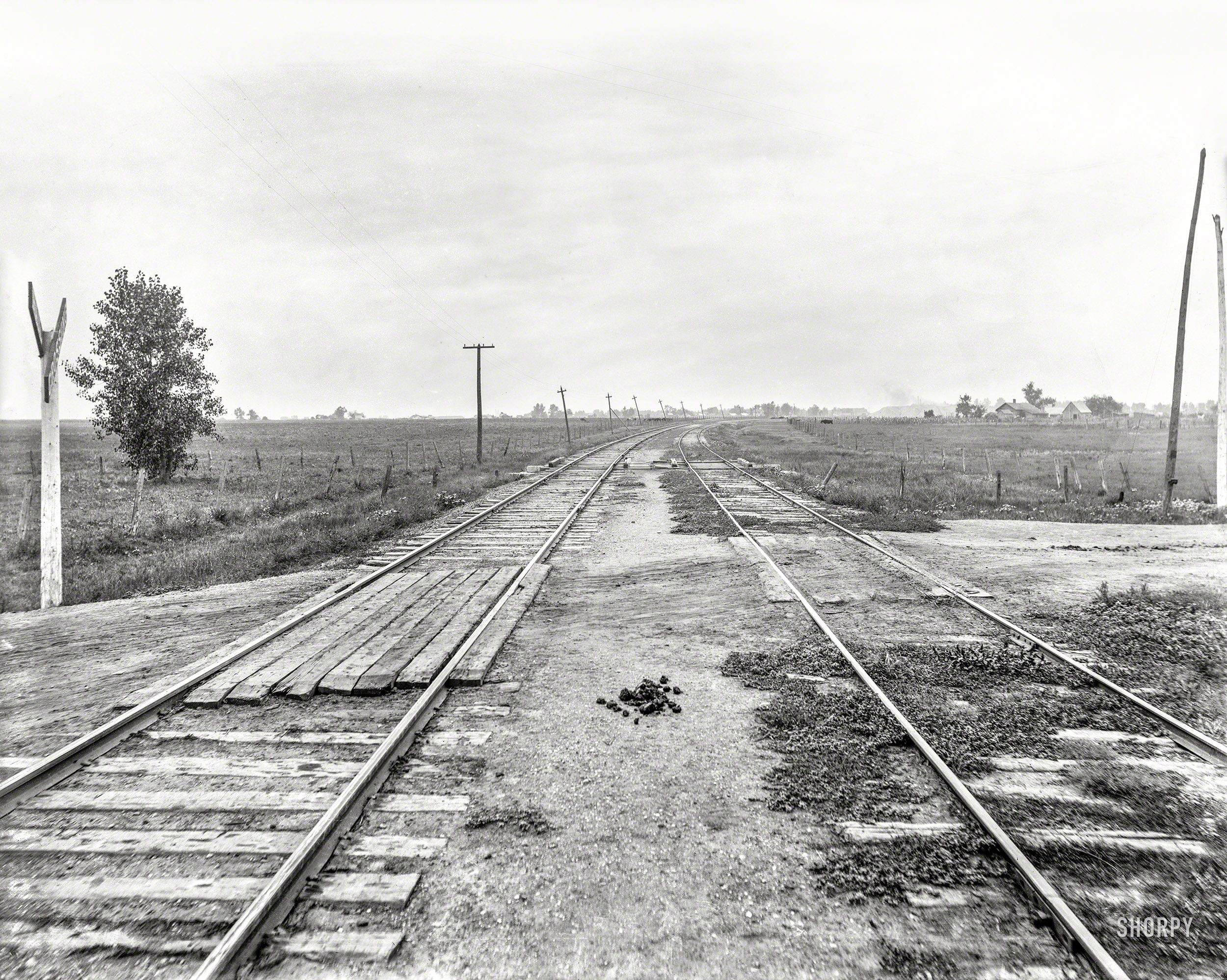 Circa 1904. "Track straightening near Coal City, Illinois." 8x10 inch dry plate glass negative, Detroit Publishing Company. View full size.