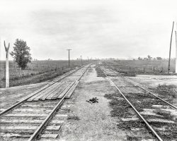 Circa 1904. "Track straightening near Coal City, Illinois." 8x10 inch dry plate glass negative, Detroit Publishing Company. View full size.
MinimalismNo need for tie plates.
Spike the rails directly to the ties.
(The Gallery, DPC, Railroads)