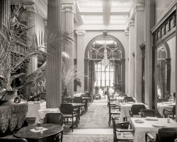 New York circa 1903. "Hotel Gregorian -- Palm Court Cafe." 8x10 inch dry plate glass negative, Detroit Photographic Company. View full size.